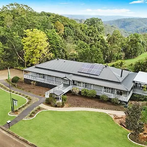 Avocado Grove Sunshine Coast